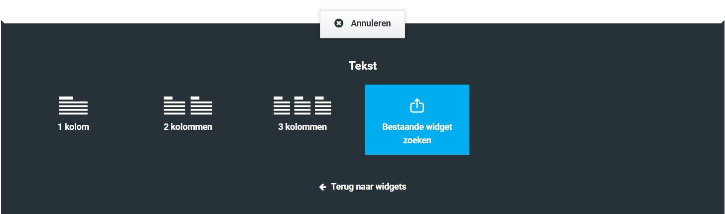 Voorbeeld CMS bestaande widget zoeken