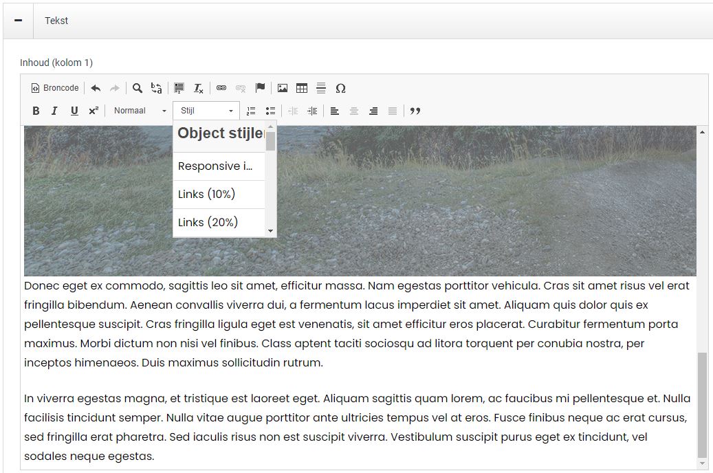 Een afbeelding plaatsen in het Websteen CMS.