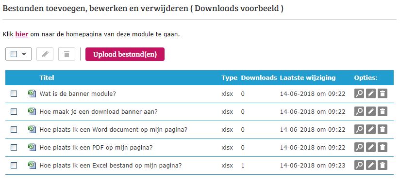 Hoe voeg ik een download bestand toe aan mijn pagina?