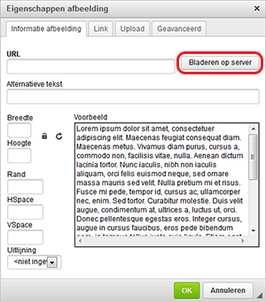Een afbeelding toevoegen in het Websteen CMS.